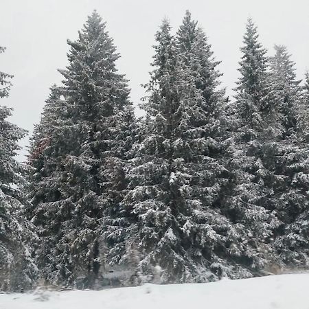 Apartmani Sorak Kopaonik, Studio Apartman A10 Buitenkant foto